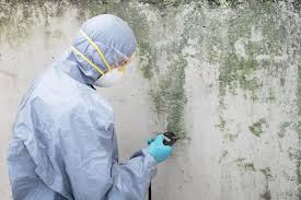 Best HVAC Mold Inspection and Cleaning  in USA